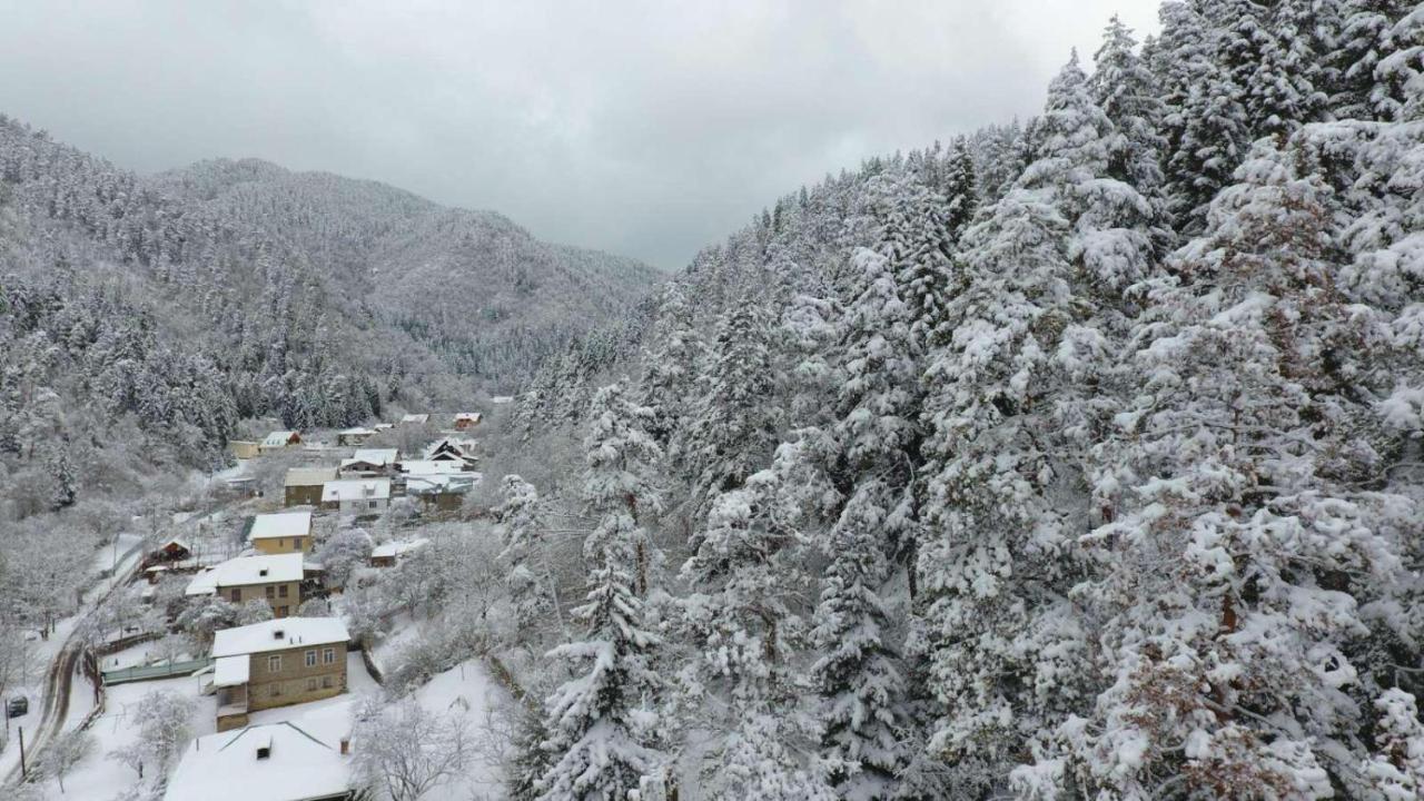 Serenity Likani Villa Hotel Borjomi Εξωτερικό φωτογραφία