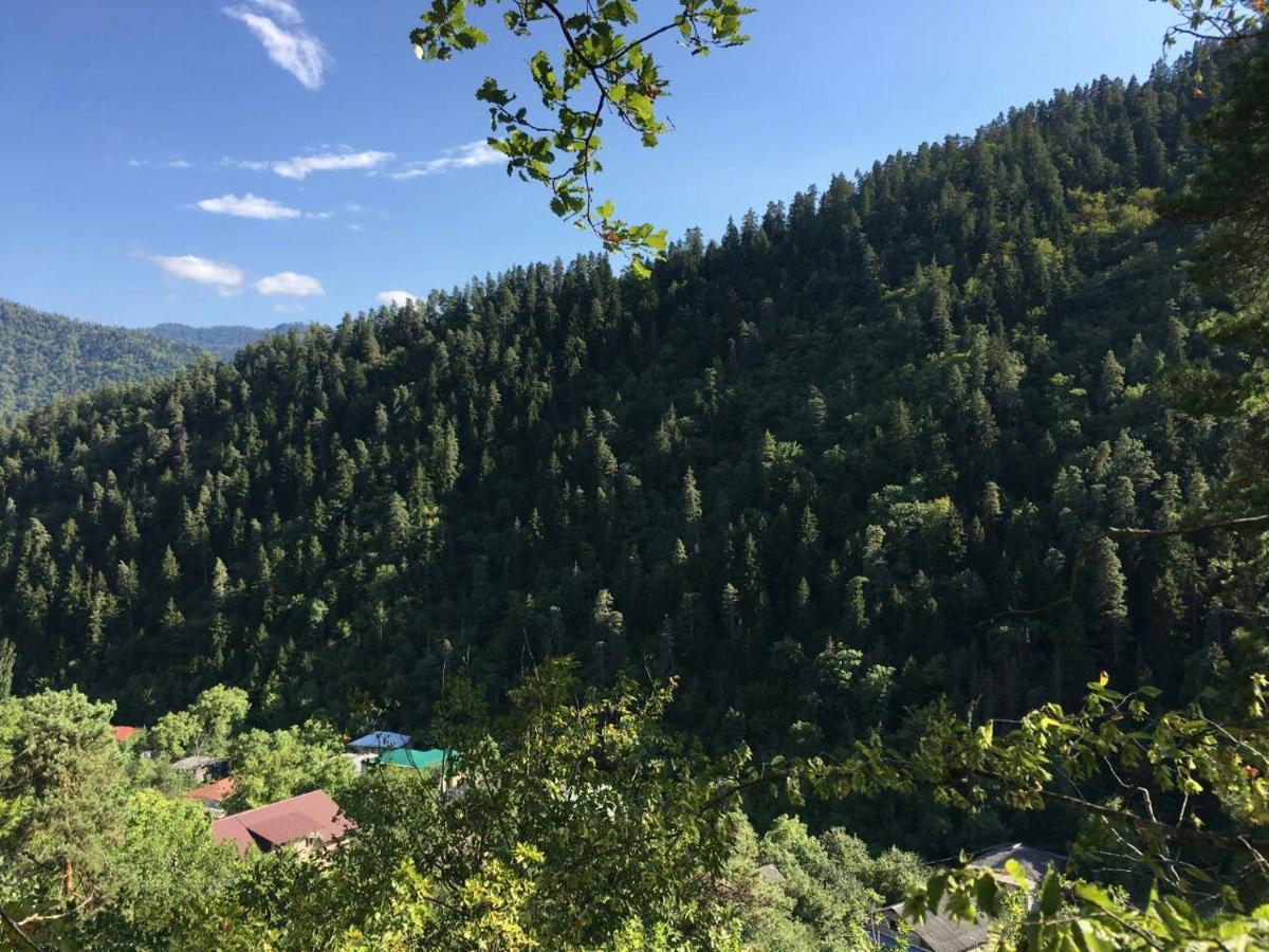 Serenity Likani Villa Hotel Borjomi Εξωτερικό φωτογραφία