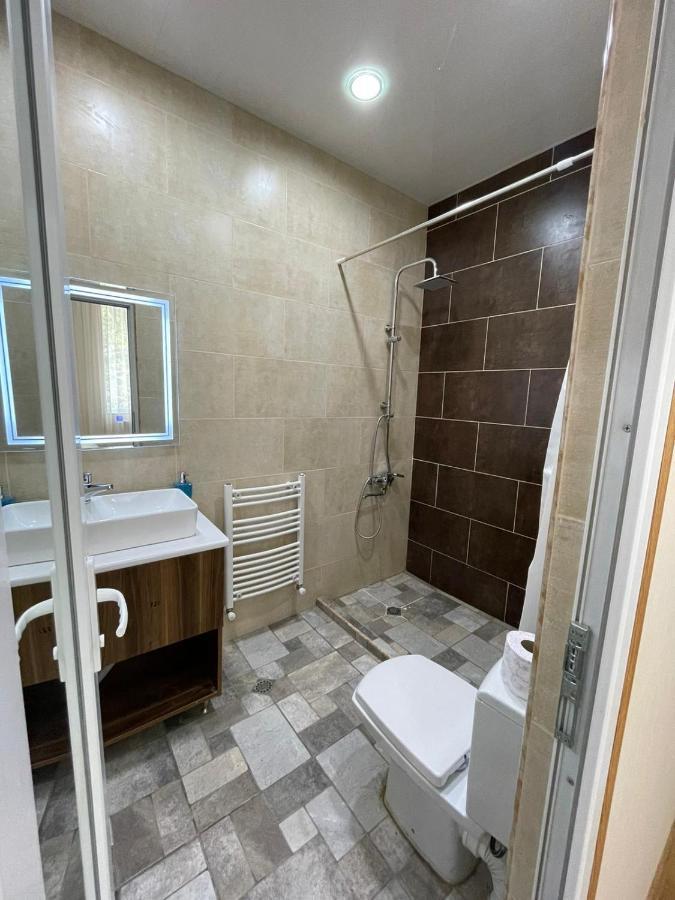 Serenity Likani Villa Hotel Borjomi Εξωτερικό φωτογραφία