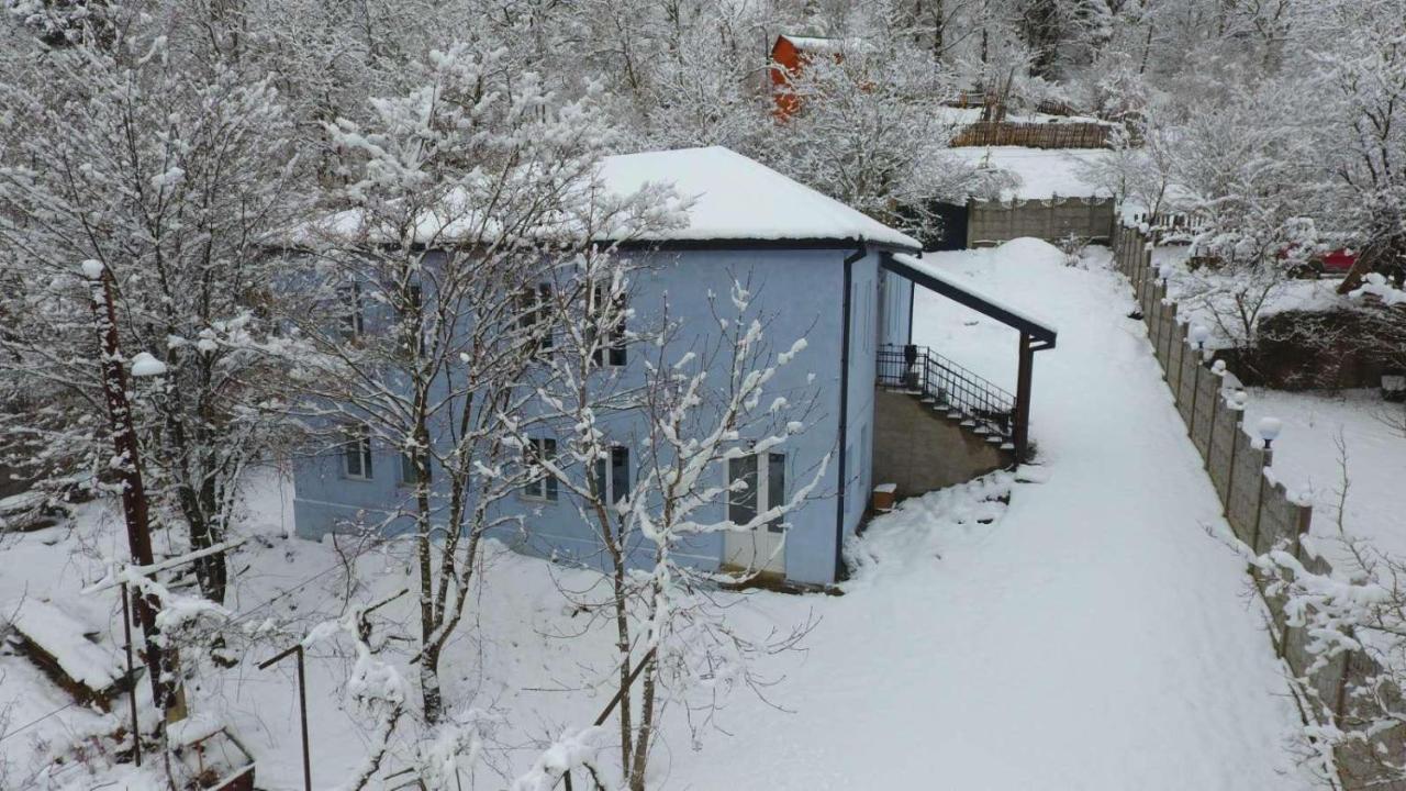 Serenity Likani Villa Hotel Borjomi Εξωτερικό φωτογραφία