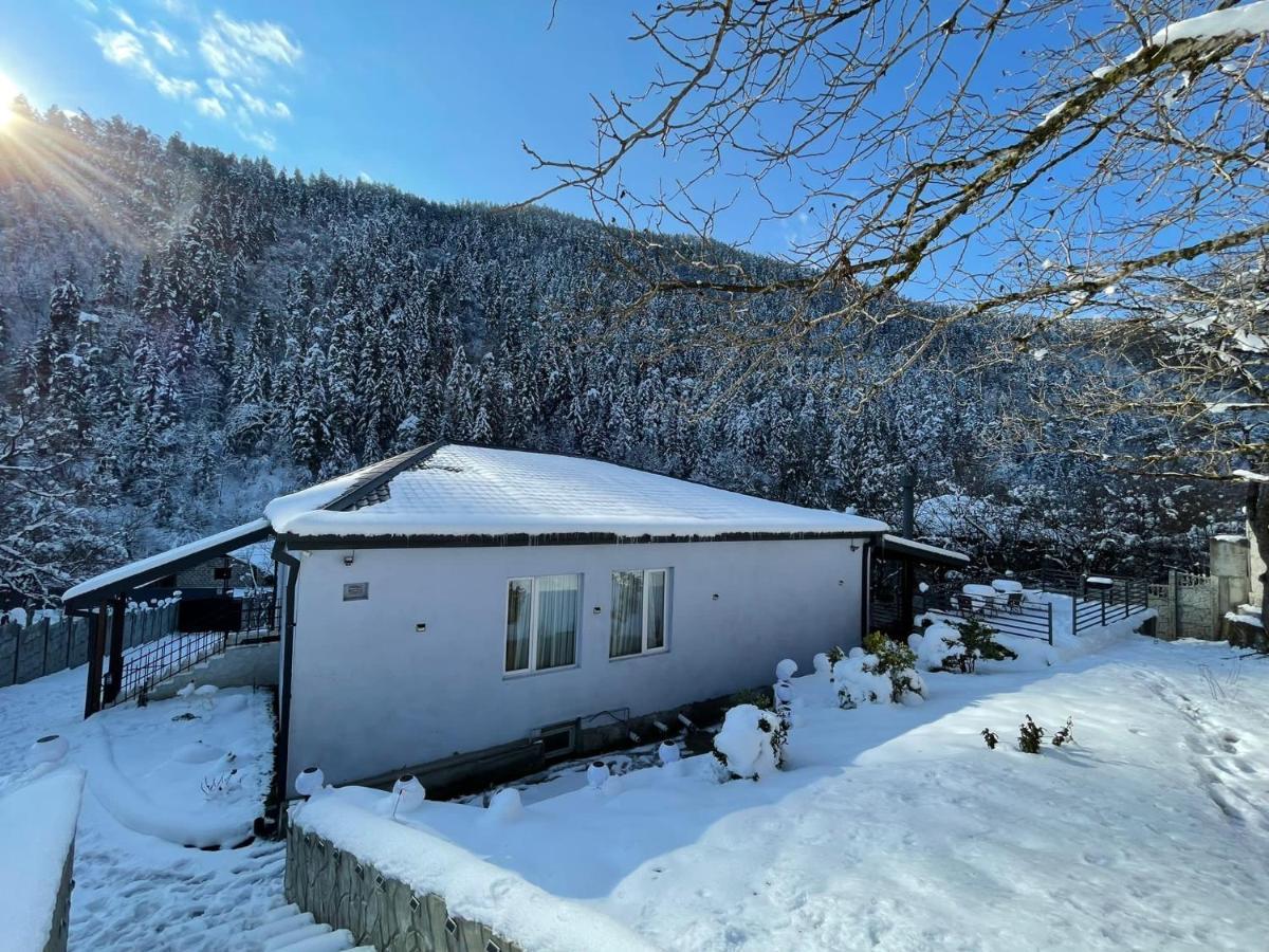 Serenity Likani Villa Hotel Borjomi Εξωτερικό φωτογραφία