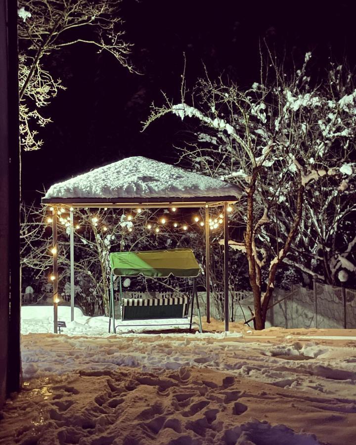 Serenity Likani Villa Hotel Borjomi Εξωτερικό φωτογραφία