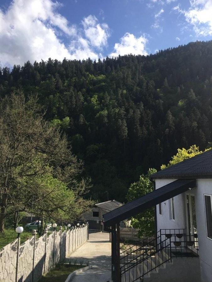 Serenity Likani Villa Hotel Borjomi Εξωτερικό φωτογραφία