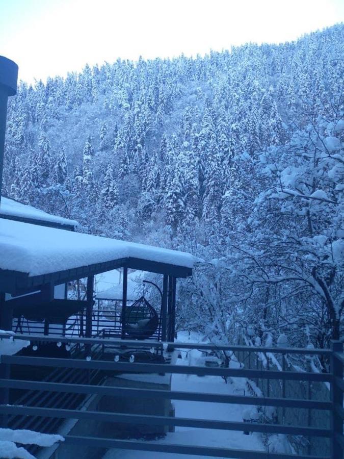 Serenity Likani Villa Hotel Borjomi Εξωτερικό φωτογραφία