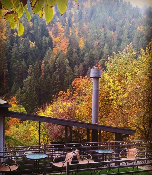 Serenity Likani Villa Hotel Borjomi Εξωτερικό φωτογραφία